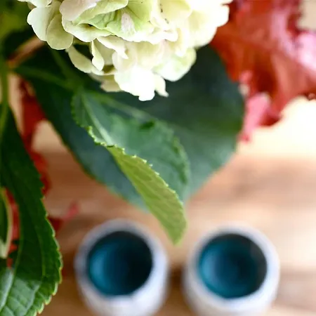 Beachhouse Bosweg בית נופש