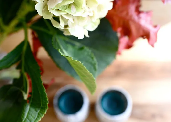 Beachhouse Bosweg Vakantiehuis